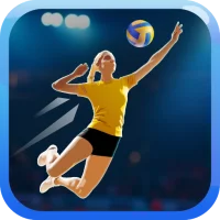Fine Volleyball - Siatkówka 3D